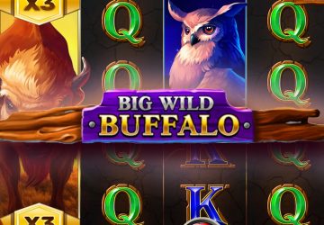 Игровой автомат Big Wild Buffalo в Апекс Спинс казино